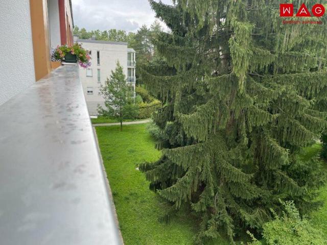 Apartment mieten in Bindermichl-Keferfeld, Linz