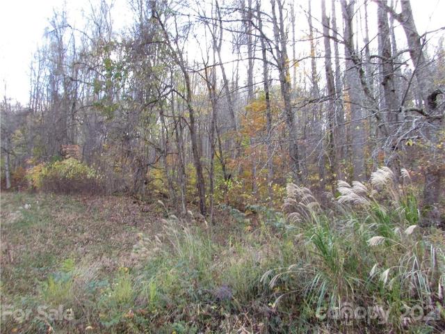 Land for sale in Yancey, North Carolina
