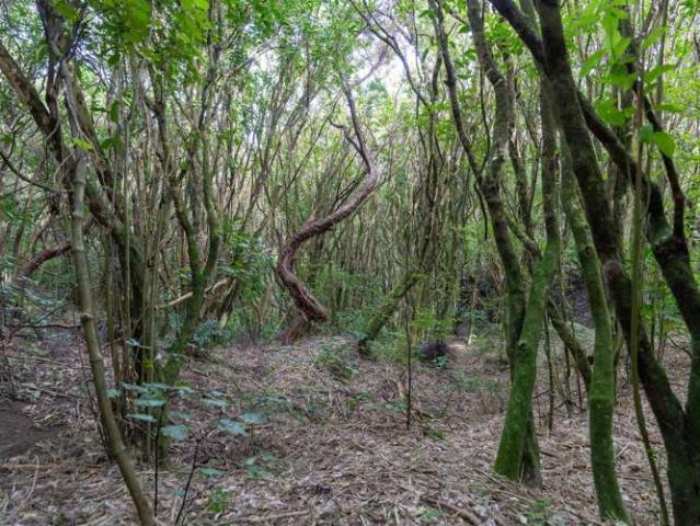 Land for sale in Paraparaumu, Wellington