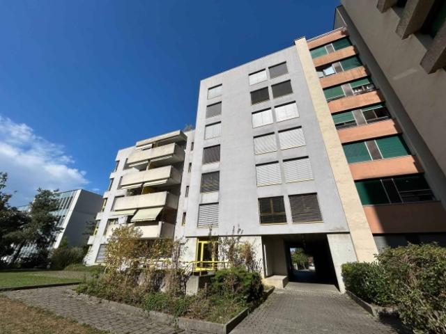 Wohnung mieten in Petit-Lancy, Lancy