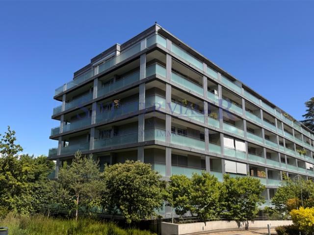Wohnung kaufen in Carouge (GE)