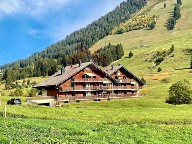 Wohnung kaufen in Les Mosses, Ormont-Dessous