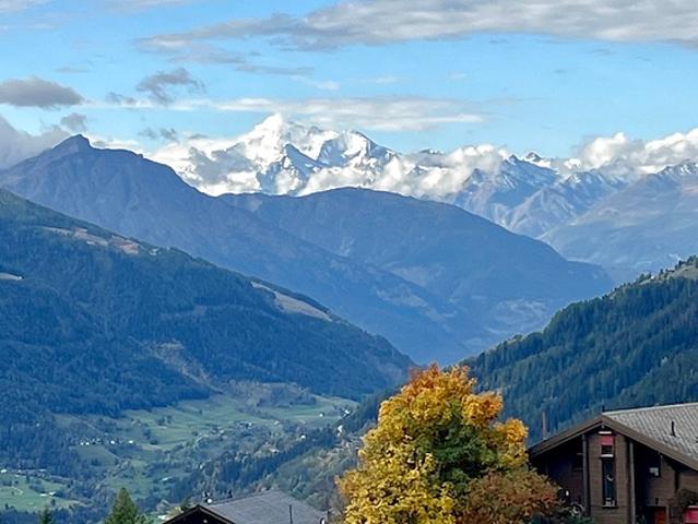 Apartment mieten in Bellwald, Wallis