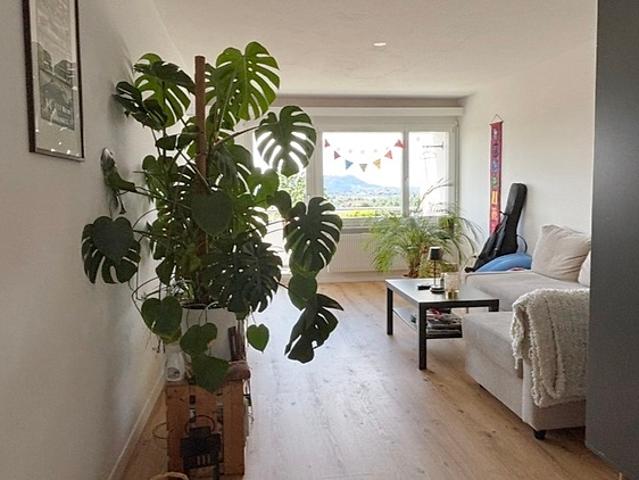 Apartment mieten in Bolligen, Bern