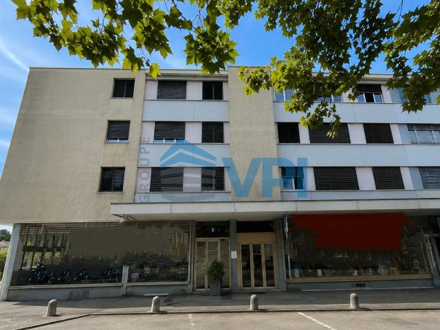 Apartment mieten in Thônex