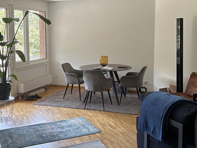 Apartment mieten in Hünenberg, Zug