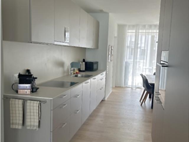 Apartment mieten in Lü