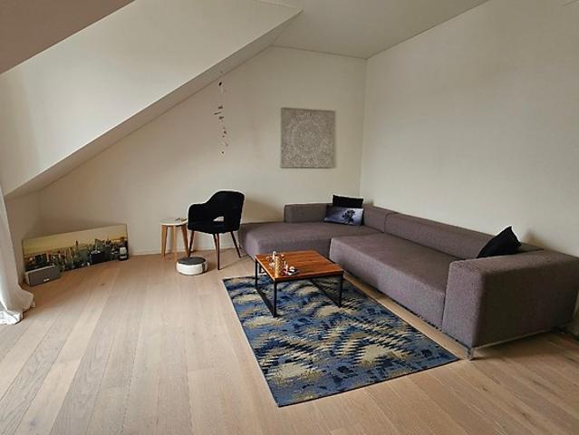 Apartment mieten in Schneisingen, Aargau