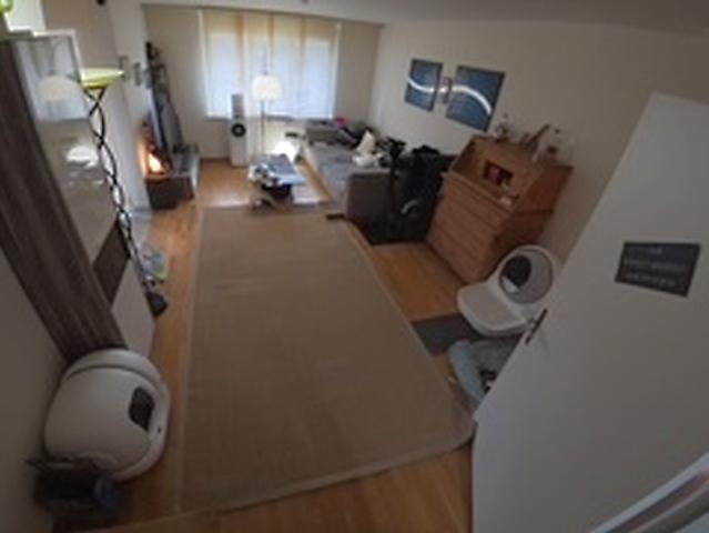 Apartment mieten in Einigen, Zürich