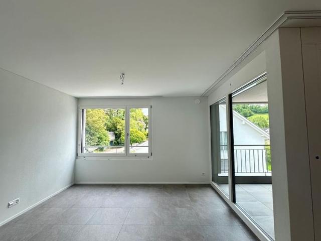 Apartment mieten in Ziefen, Basel-Landschaft
