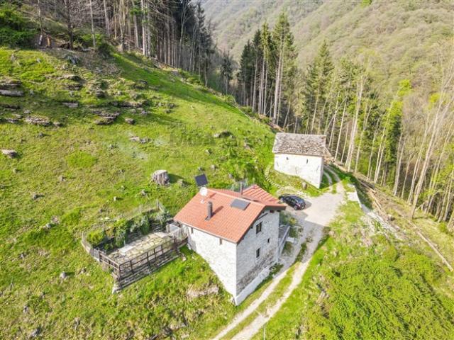 Einfamilienhaus kaufen in Tessin