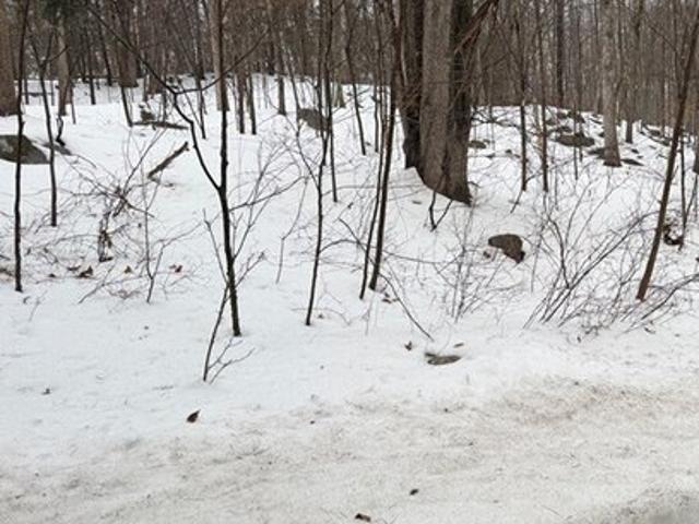 Land for sale in Monroe, Connecticut
