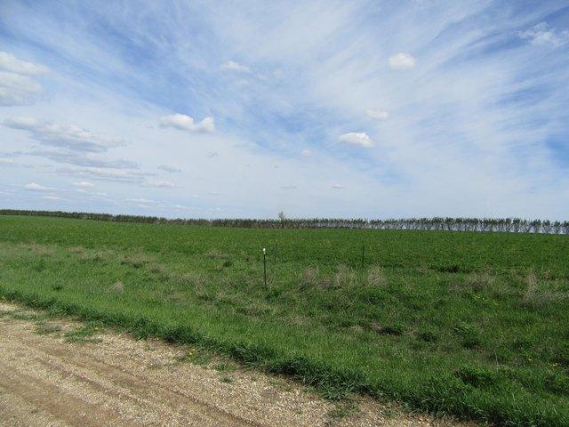 Land for sale in Garvin, Minnesota