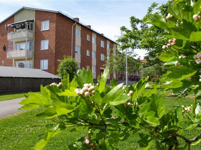 Lägenhet hyra i Bollnäs, Gävleborg
