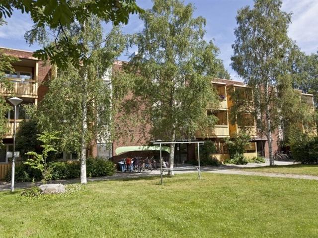Lägenhet hyra i Umeå, Västerbotten