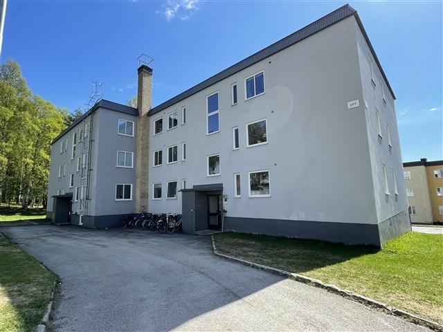 Lägenhet hyra i Skellefteå, Västerbotten