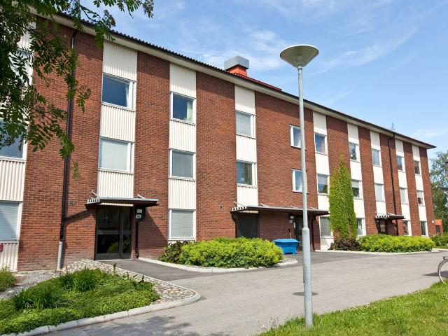 Lägenhet hyra i Umeå, Västerbotten