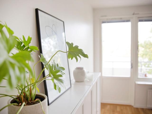 Lägenhet hyra i Norrköping, Östergötland