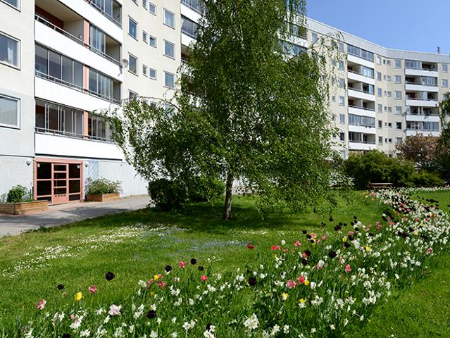 Lägenhet hyra i Tumba, Stockholm