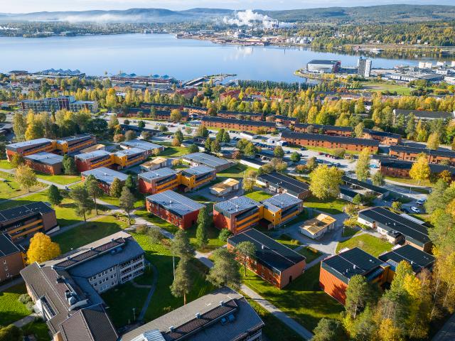 Lägenhet hyra i Örnsköldsvik, Västernorrland