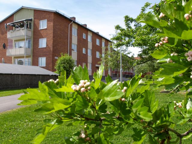 Lägenhet hyra i Bollnäs, Gävleborg