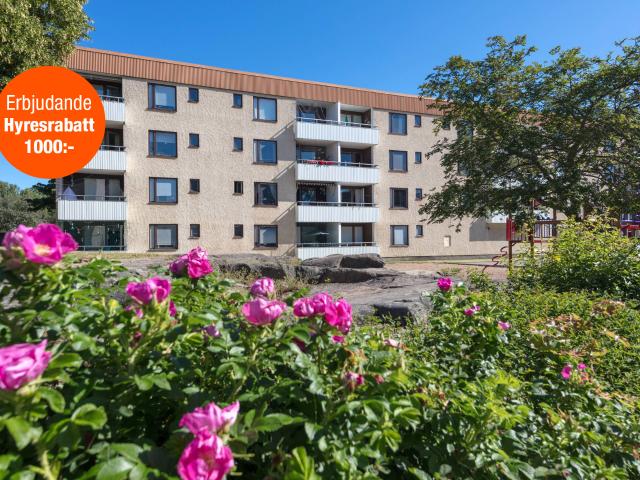 Lägenhet hyra i Norrköping, Östergötland