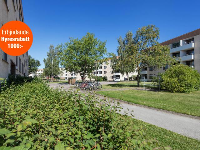 Lägenhet hyra i Norrköping, Östergötland