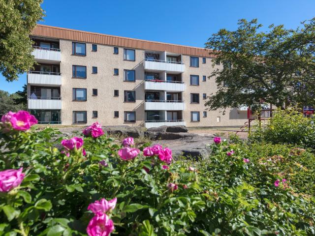 Lägenhet hyra i Norrköping, Östergötland