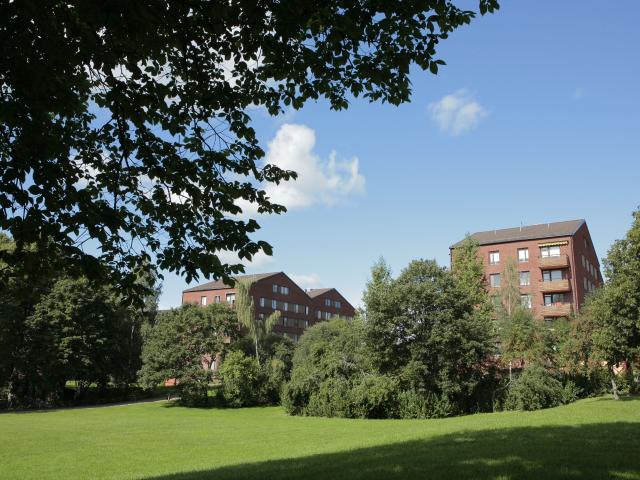 Lägenhet hyra i Falun, Dalarna