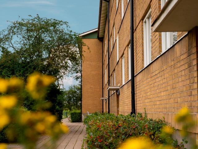 Lägenhet hyra i Höganäs, Skåne