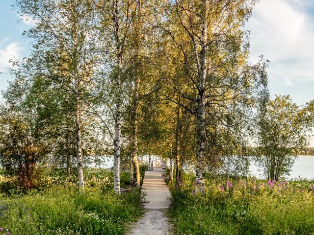 Lägenhet hyra i Luleå, Norrbotten
