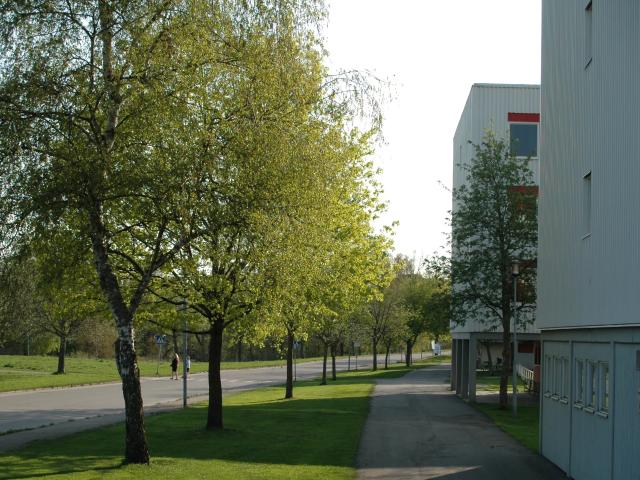 Lägenhet hyra i Mjölby, Östergötland