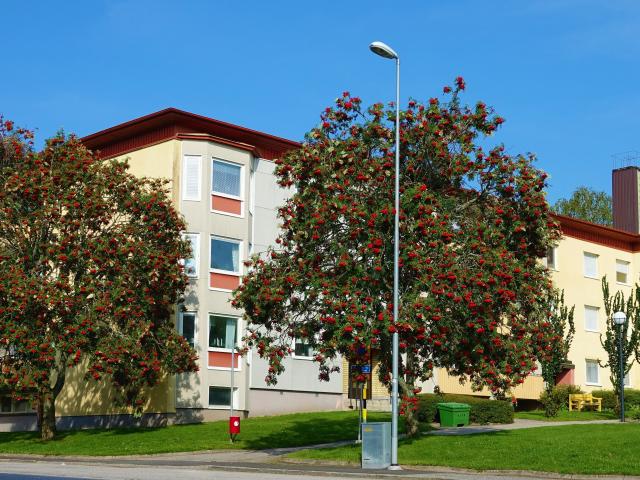 Lägenhet hyra i Ulricehamn, Västra Götaland