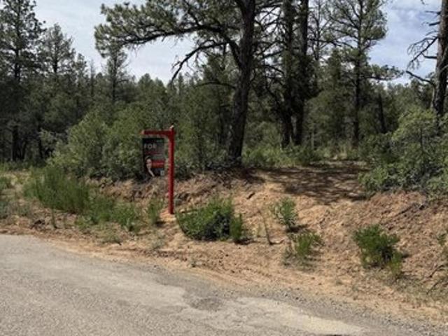 Land for sale in Timberon, New Mexico