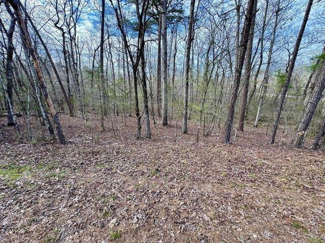 Land for sale in Ark
