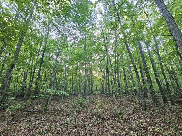 Land for sale in Tennessee