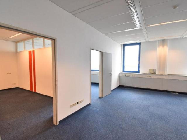 Gewerbe mieten in Wiener Neudorf, Niederösterreich