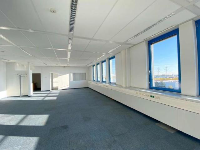 Gewerbe mieten in Wiener Neudorf, Niederösterreich