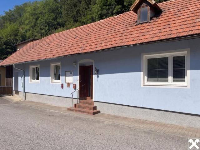 Haus kaufen in Warth, Niederösterreich
