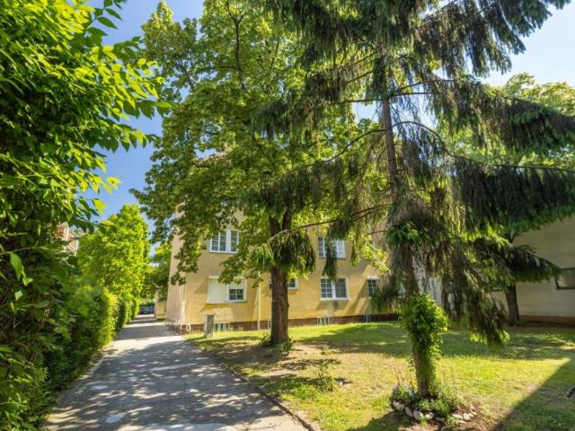 Wohnung mieten in Schwechat, Niederösterreich