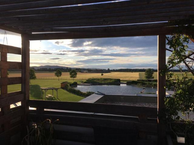 Wohnung mieten in Katastralgemeinde Unterwaltersdorf, Ebreichsdorf