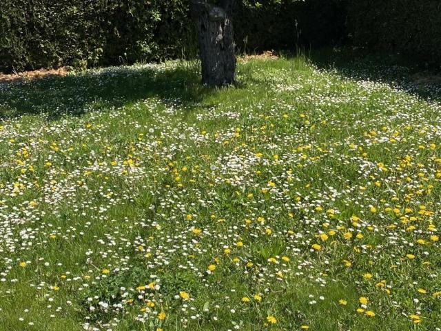 Haus kaufen in KG Leopoldstadt, Wien