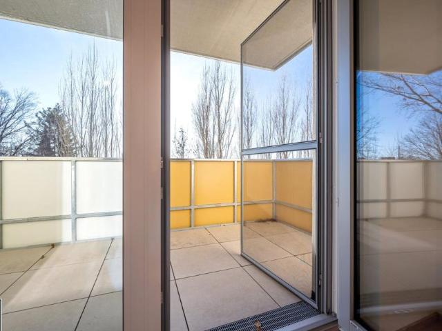 Wohnung mieten in Eisenstadt, Burgenland