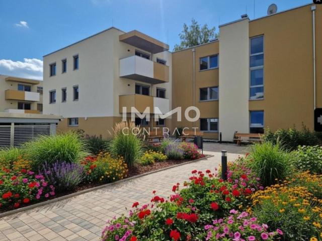 Wohnung mieten in Eisenstadt, Burgenland