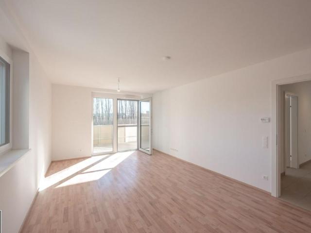 Wohnung mieten in Eisenstadt, Burgenland