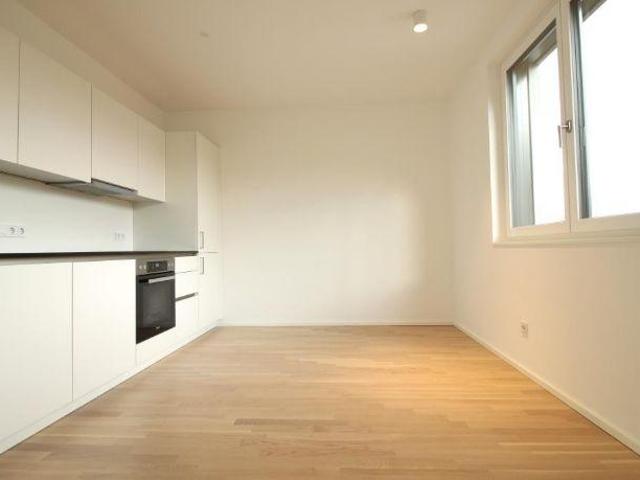 Wohnung mieten in Linz, Oberösterreich