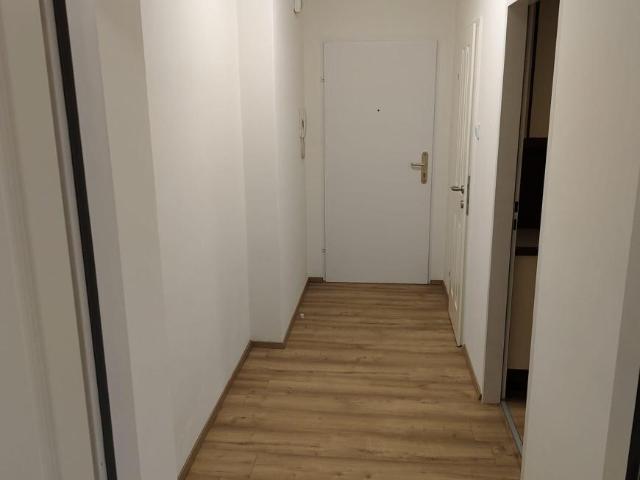 Wohnung mieten in Traiskirchen, Niederösterreich
