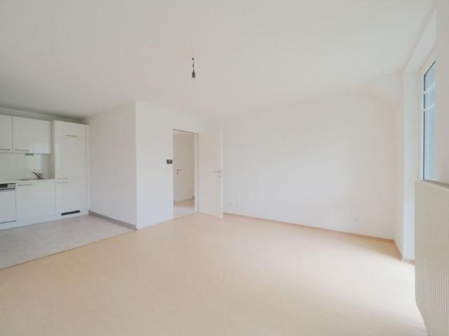 Wohnung mieten in Brunn am Gebirge, Niederösterreich