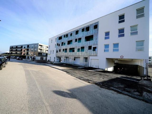 Wohnung mieten in Baden, Niederösterreich