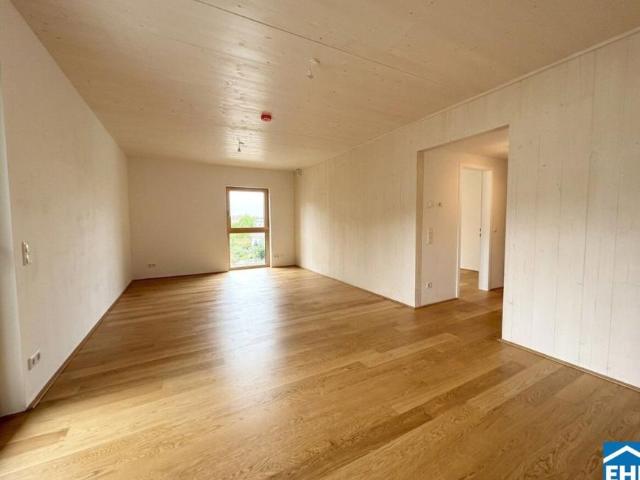 Wohnung mieten in Schöffelstadt, Mödling